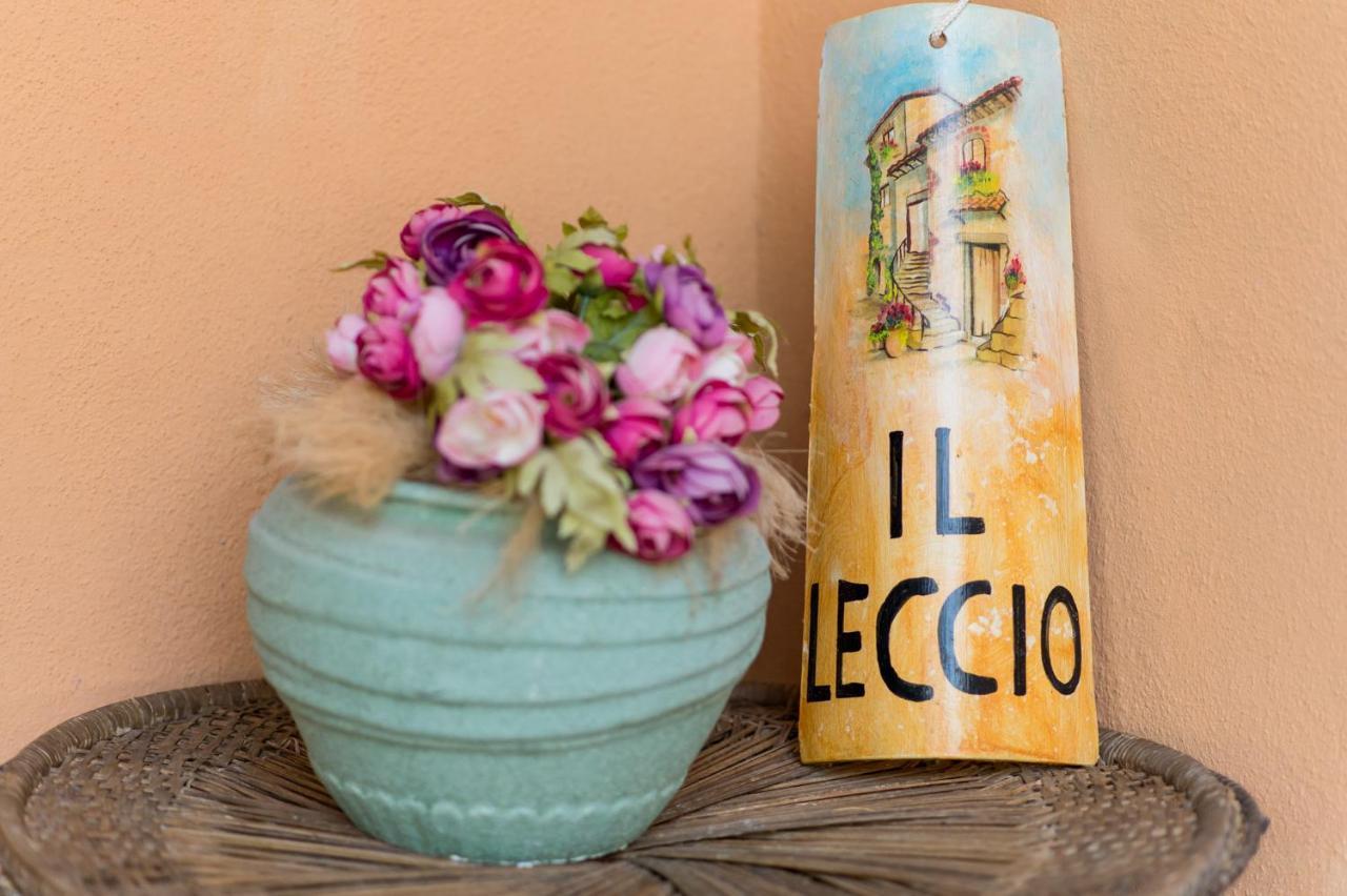 Il Leccio - Casa Toscana Il Fienile 감바시 외부 사진